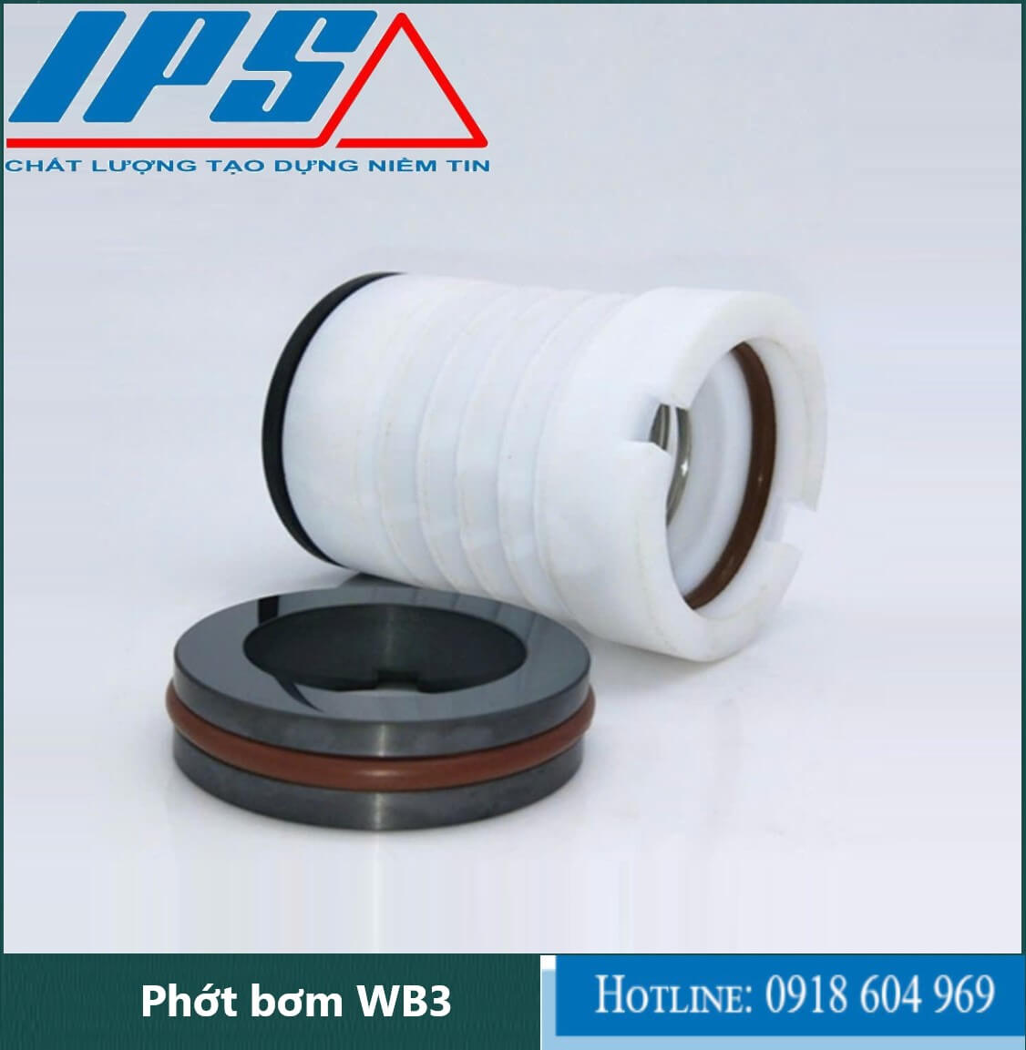 Phớt bơm WB3-2(1).